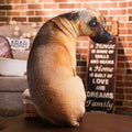 Almofada 3D Cachorro Caramelo